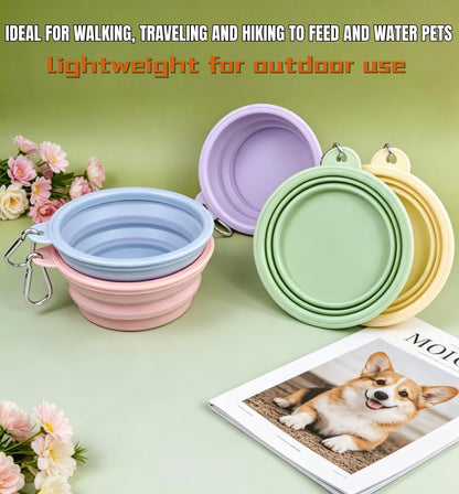 Collapsible Pet Bowl Travel Food Water Bowl(Greenpinkblue) | Food-Grade Silicone, Bpa-Free, Soft & Durable. Collapsible with Carabiner for Travel. Non-Slip Base, Easy to Rinse Clean.6