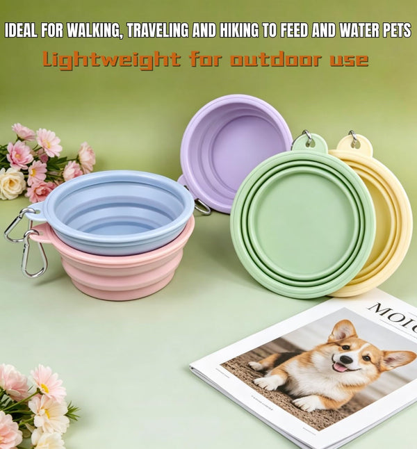 Collapsible Pet Bowl Travel Food Water Bowl(Greenpinkblue) | Food-Grade Silicone, Bpa-Free, Soft & Durable. Collapsible with Carabiner for Travel. Non-Slip Base, Easy to Rinse Clean.6