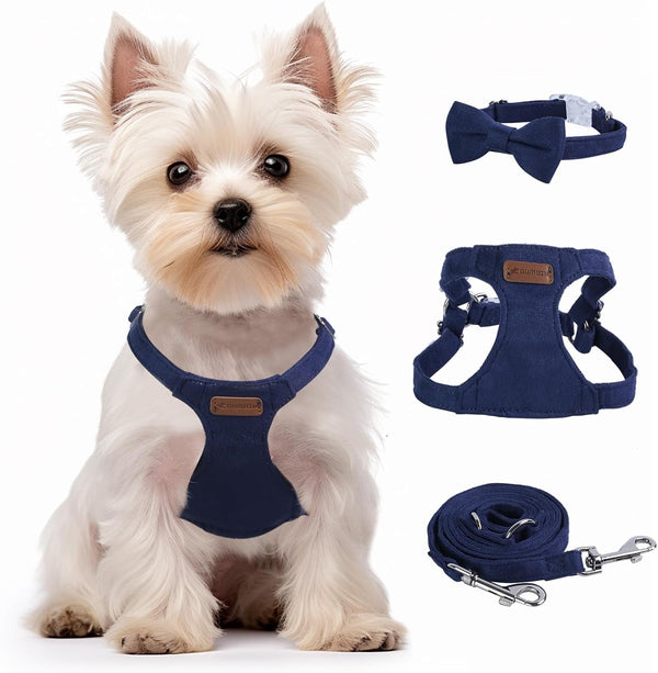Dog Harness and Leash Set, XXS No Pull Adjustable Puppy Harness with Multifunction Pink Dog Leash and Dog Collar, Soft No Choke Escape Proof Pet Harness Vest for Small Dogs and Cats (Pink, S)9