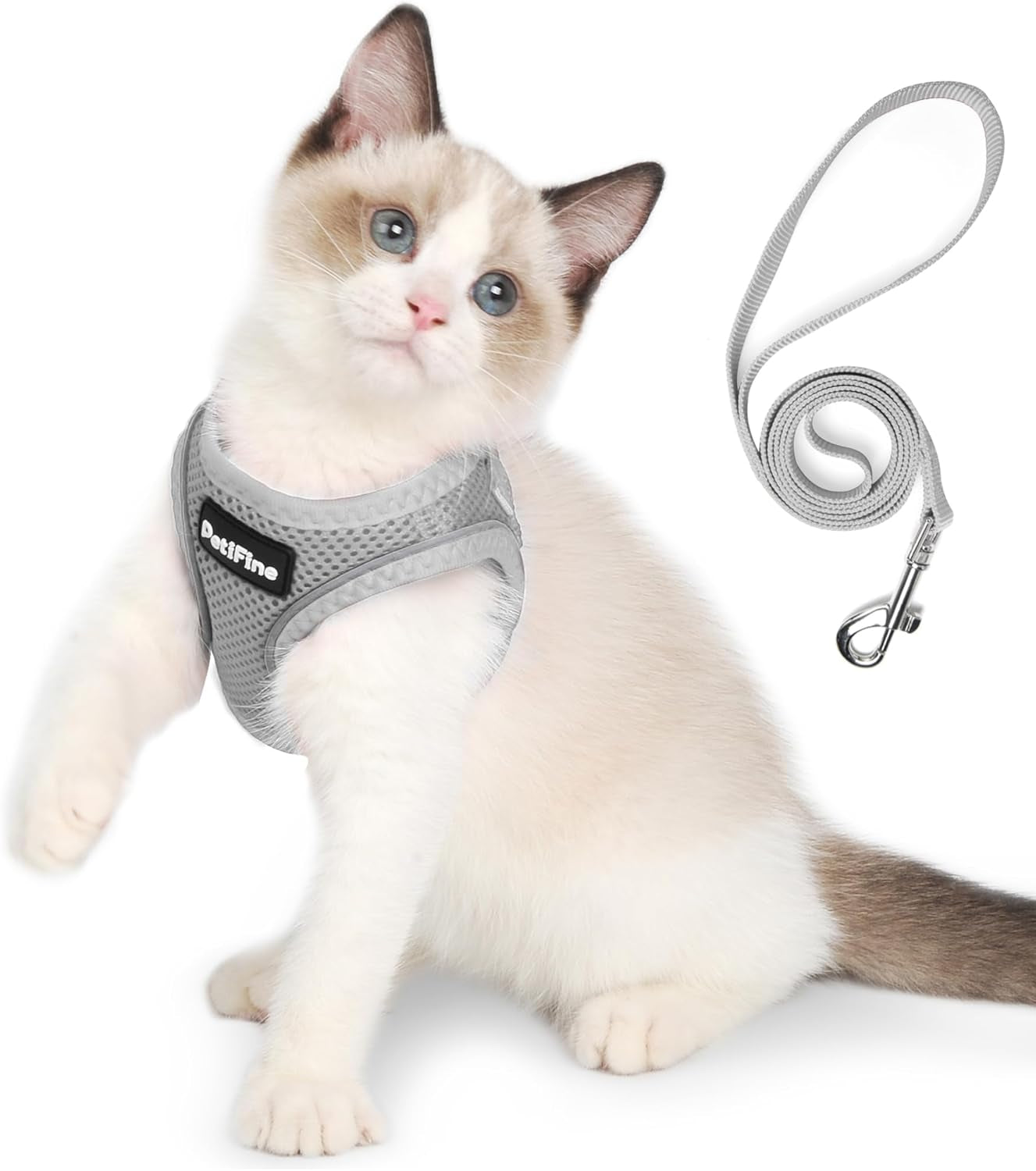 small-dog-harness-and-leash-set-breathable-step-in-puppy-cat-harness-xs-reflective-for-safe-easy-walking-soft-light-puppy-vest-escape-proof-no-pull-harness-for-dogs-all-weather-air-mesh-harness