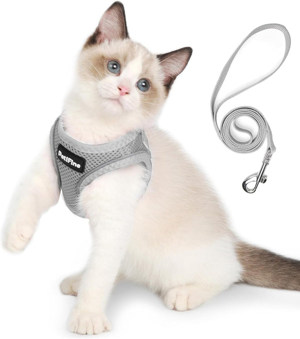Small Dog Harness and Leash Set Breathable Step-In Puppy Cat Harness,Xs | Reflective for Safe Easy Walking,Soft Light Puppy Vest,Escape Proof,No Pull Harness for Dogs,All Weather Air Mesh Harness10
