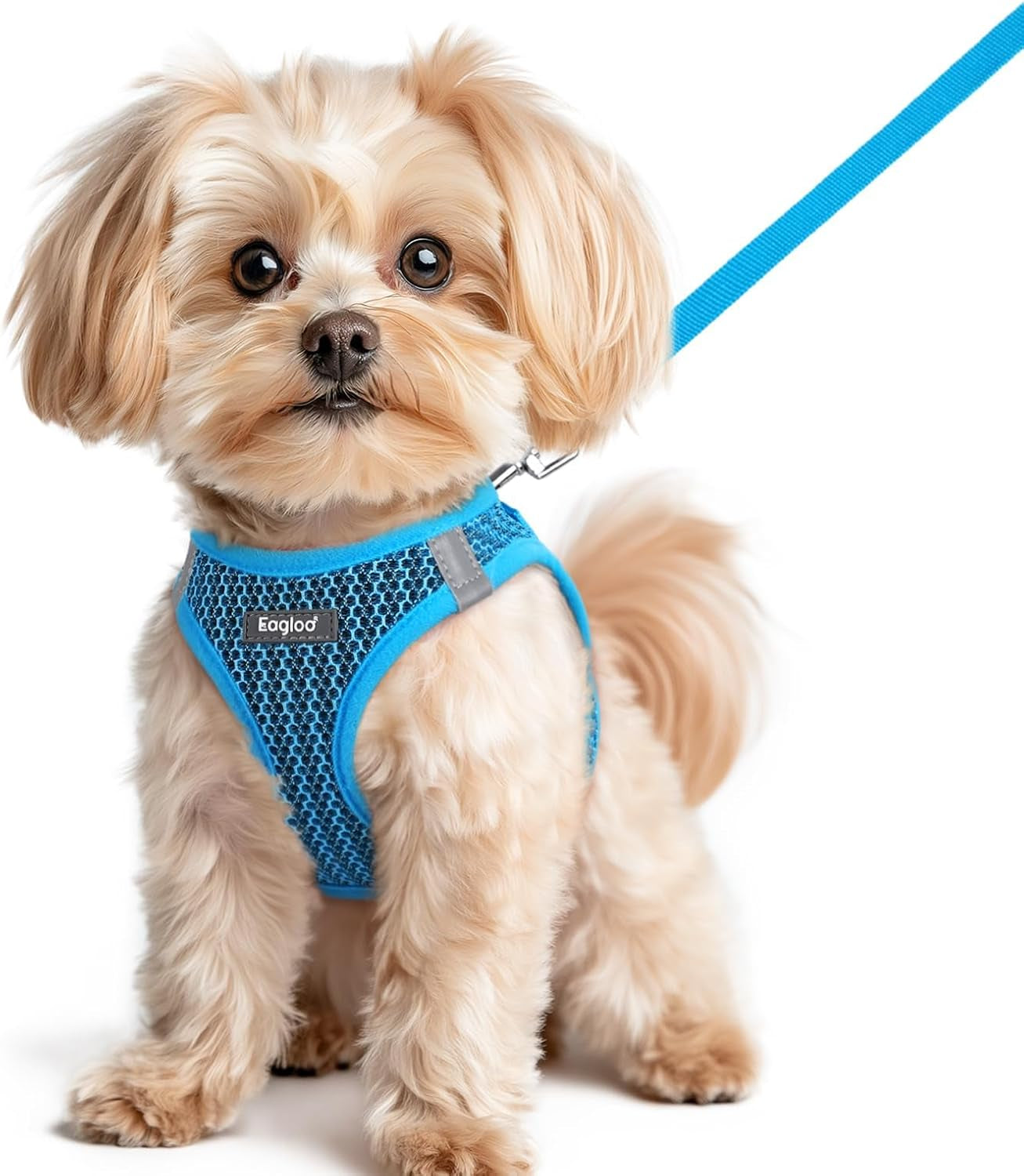 eagloo-small-dog-harness-and-leash-set-step-in-small-sized-puppy-pet-vest-light-soft-breathable-air-mesh-easy-on-and-off-with-hook-loop-reflective-for-safe-walking-pink-s