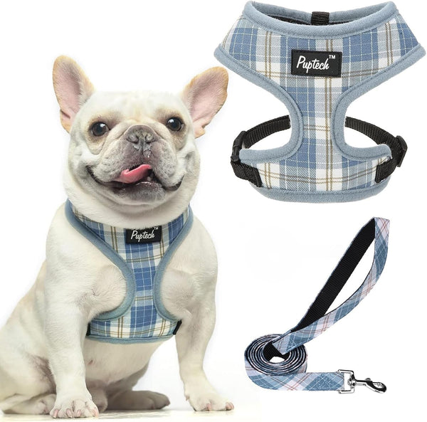 PUPTECK Soft Mesh Dog Harness Small Sized and Leash Set Pet Puppy Cat Comfort Padded Vest No Pull Harnesses, Beige, S10