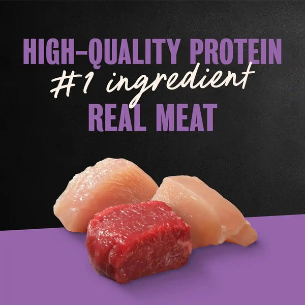 Cesar Wet Dog Food Classic Loaf in Sauce Grilled Chicken, Filet Mignon, Porterhouse Steak, Beef, Chicken & Liver and Turkey Variety Pack 3.5 Oz. Easy Peel Trays (36 Count, Pack of 1) | Made in USA, Real Meat #1 Ingredient, No Fillers or Artificial Flavors, Formulated without Grains, Easy Peel Trays4