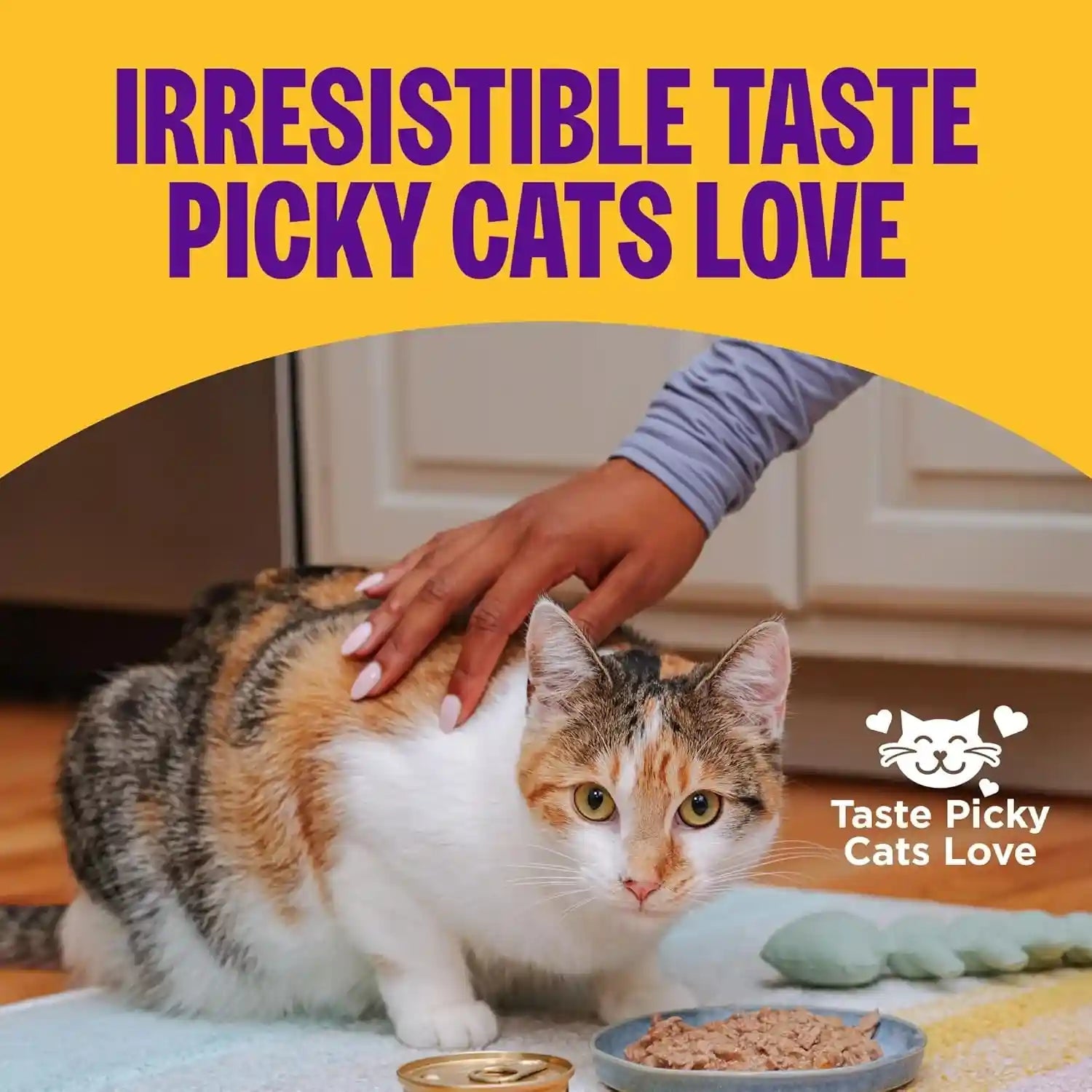wellness-complete-health-pate-variety-pack-kitten-canned-wet-cat-food-natural-protein-rich-grain-free-whitefish-and-chicken-recipes-3-oz-pack-of-12-cans