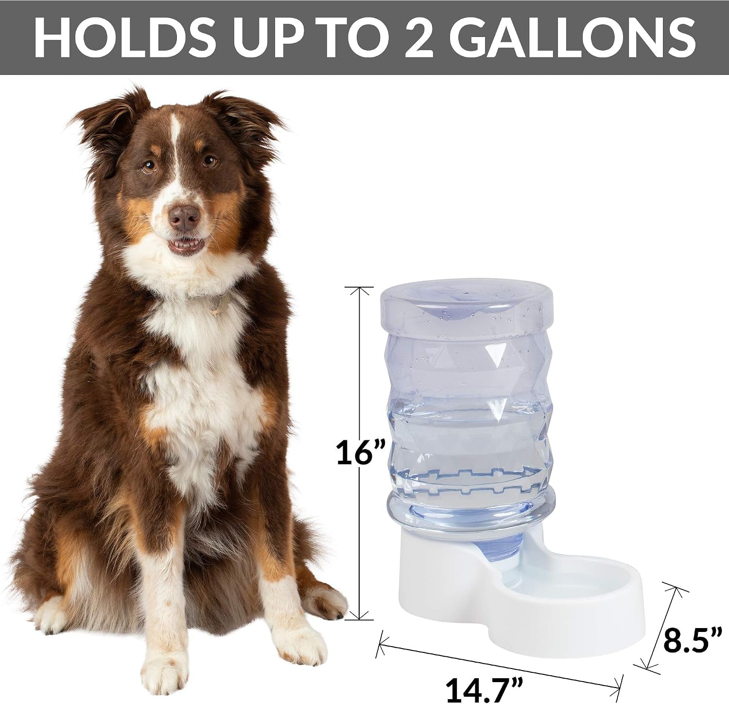 petfusion-h2o-gravity-pet-water-dispenser-durable-2-5-gallon-waterer-feeder-automatic-station-for-cats-small-medium-large-dogs-transparent