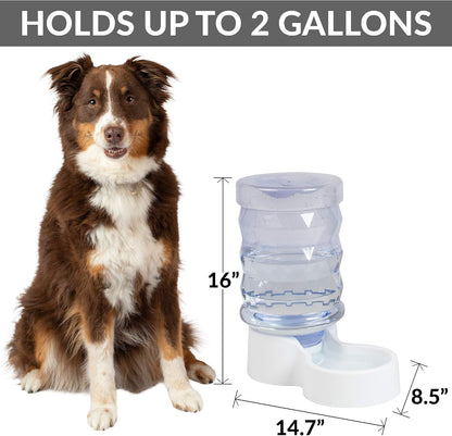 Petfusion H2O Gravity Pet Water Dispenser. Durable 2.5 Gallon Waterer Feeder. Automatic Station for Cats & Small, Medium, Large Dogs, Transparent3
