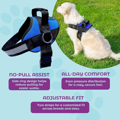 Joyride Basic Dog Harness 1.0 | Blue Serenity | M | Adjustable Pet Vest with 3 Side Leash Rings for Training, Walking and Improved Control for Small, Medium or Large Dogs4