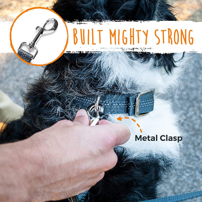 Mighty Paw Double Dog Leash, No Tangle Adjustable Split Lead for Two Dogs | Fits 0-100 Lb, 16-24 in Range, Reflective Stitching, Waterproof, Neoprene Padded Handle8