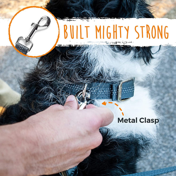 Mighty Paw Double Dog Leash, No Tangle Adjustable Split Lead for Two Dogs | Fits 0-100 Lb, 16-24 in Range, Reflective Stitching, Waterproof, Neoprene Padded Handle8