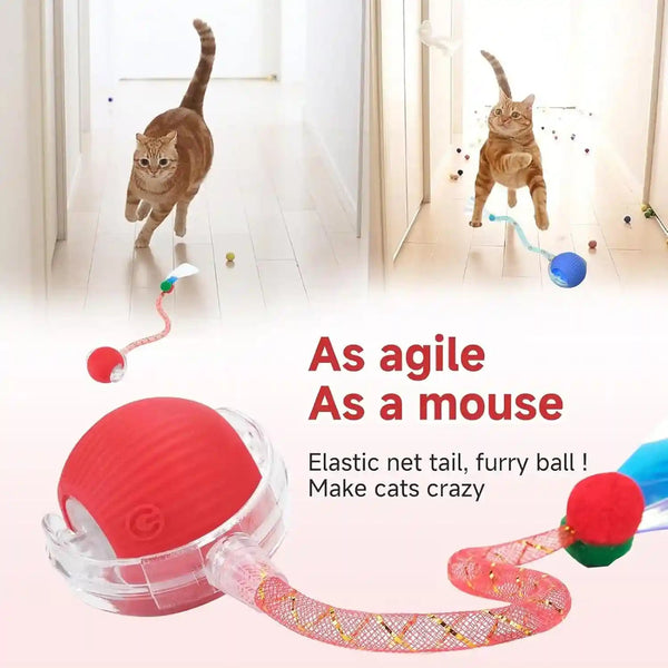2 Packs Speed 2.0 Tail Interactive Cat Toys for Indoor Cats, Chirping & Motion Activate Cat Toy, Smart Kitten Rolling Ball Moving Ball Toys, Rechargeable Dog Cats Bal L for Enrichment Exercise2