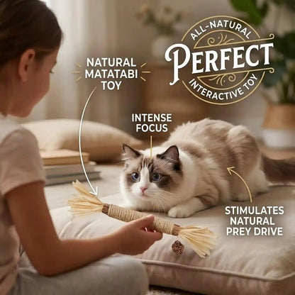 3 Pack Silvervine Cat Chew Sticks - Natural Kitten Toy for Cats5