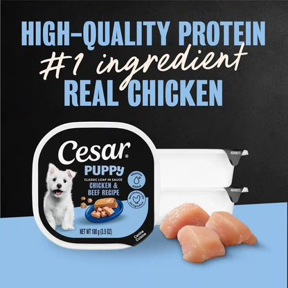 Cesar Puppy Classic Loaf Wet Dog Food, Chicken & Beef, 3.5 Oz, 24 Count | Real Chicken #1 Ingredient, Made in USA, No Fillers or Artificial Flavors, Essential Nutrients, Slow-Cooked, Easy Peel Trays5