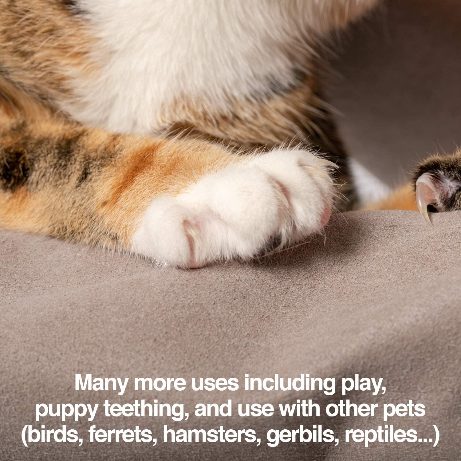 petfusion-multipurpose-pet-grooming-gloves-great-for-trips-to-vet-and-bathing-puncture-scratch-water-resistant
