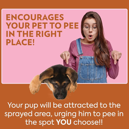 OUT! Petcare Go Here Attractant, Potty Training Spray for Dogs, 32Oz | Dog Pee Spray, Puppy Potty Training, Housebreaking, Indoor & Outdoor, Pee Here Training, Training Aid, Easy Application8