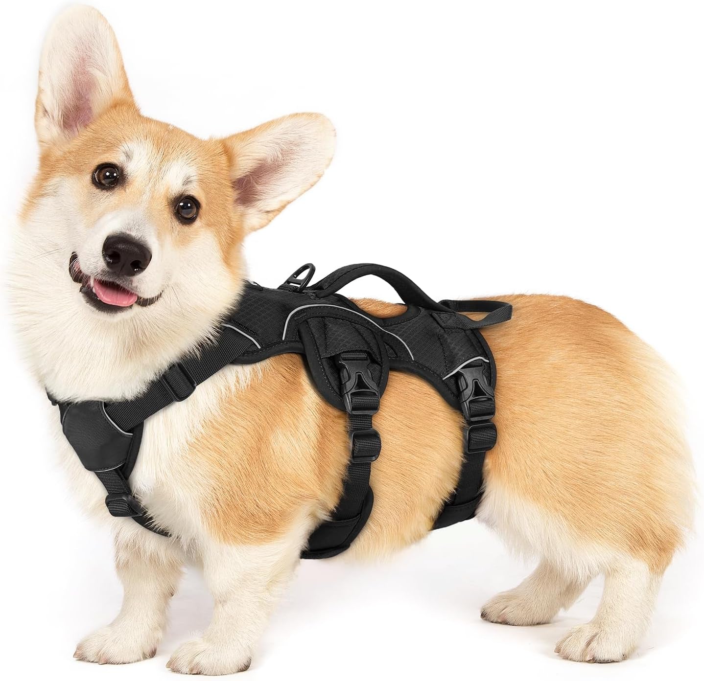 rabbitgoo-escape-proof-dog-harness-for-large-no-pull-with-lift-handle-no-escape-full-soft-padded-reflective-adjustable-vest-leash-clip-for-walking-hiking-training-black-large