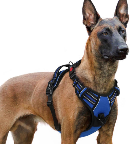Rabbitgoo Dog Harness Medium Sized, Updated Easy on & off with 3 Buckles | No Pull No Choke, Walking with 2 Clips and Handle, Adjustable Soft Reflective, Blue, Medium61