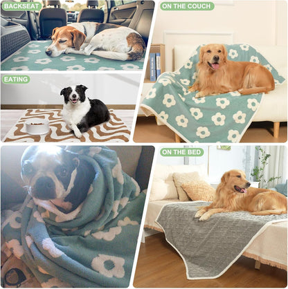 BEAUTYZOO Waterproof Dog Blankets for Large Dogs, Dog Blanket for Couch Sofa Bed, Super Soft Premium Coral Fleece Throw Cat Puppy Blanket, Reversible Furniture Protector, Washable Pet Blanket 40X60In8