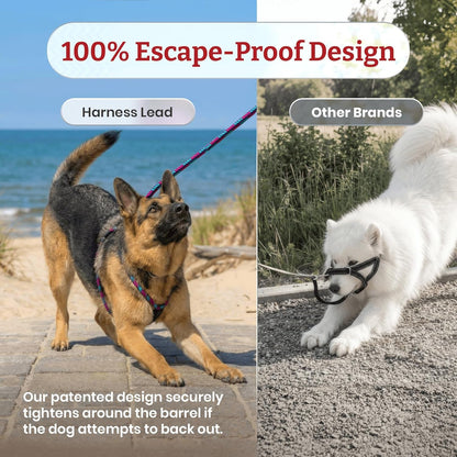 Harness Lead Escape Resistant, Reduces Pull Dog Harness, Medium/Large, Black5