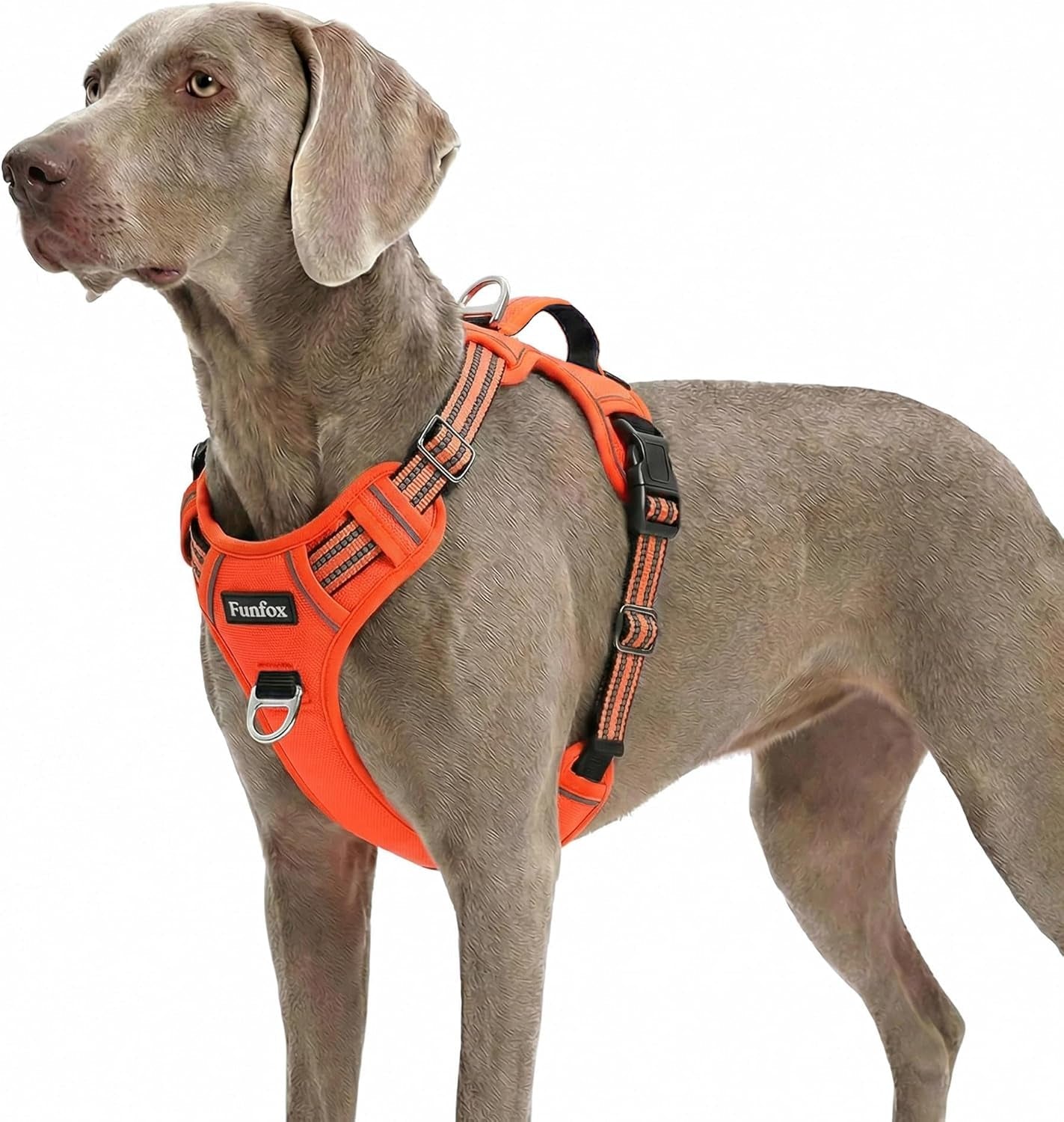 funfox-dog-harness-medium-sized-dog-vertical-handle-easy-control-no-pull-pet-vest-adjustable-with-2-leash-clips-soft-material-reflective-safe-night-walking-for-small-medium-large-breed-black-m