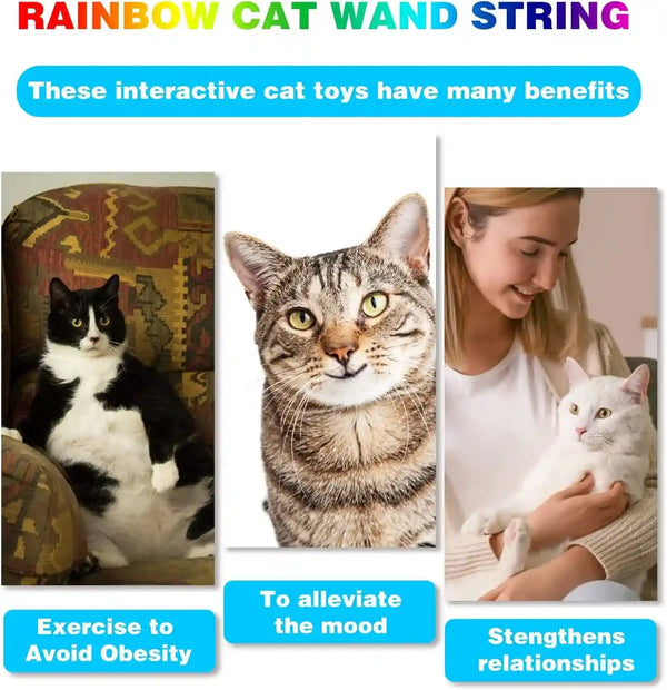 Cat Wand Toys Interactive Kitten Toys for Indoor Cats-2Pcs | Colorful Teaser Wand String for Exercise Kitten Stick Kitty Rope Toy Rainbow Ribbon Cat Charmer6
