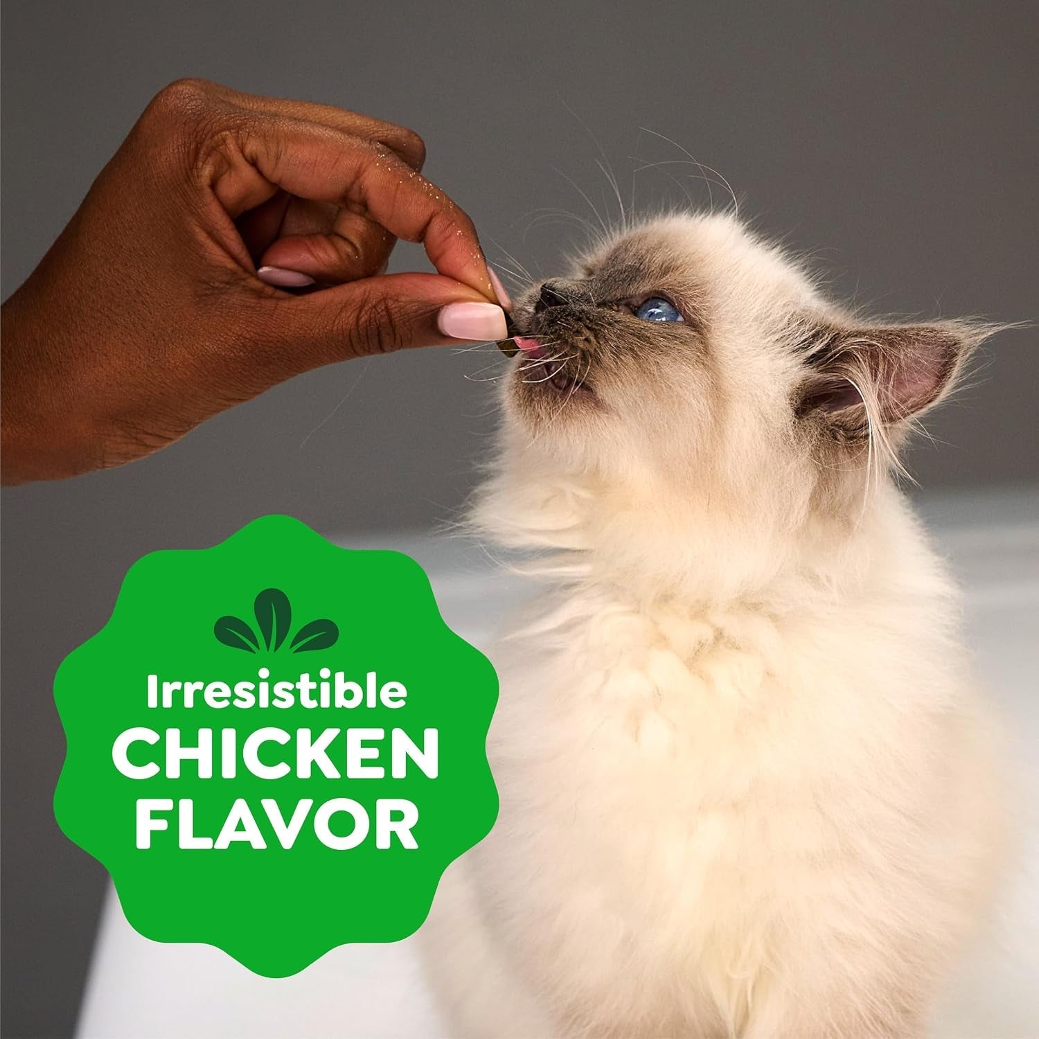 greenies-feline-smartbites-kitten-treats-chicken-flavor-2-1-oz-dha-for-brain-vision-development-supports-immune-system-under-2-cal-treat-no-artificial-flavors-preservatives-1-lb-tub