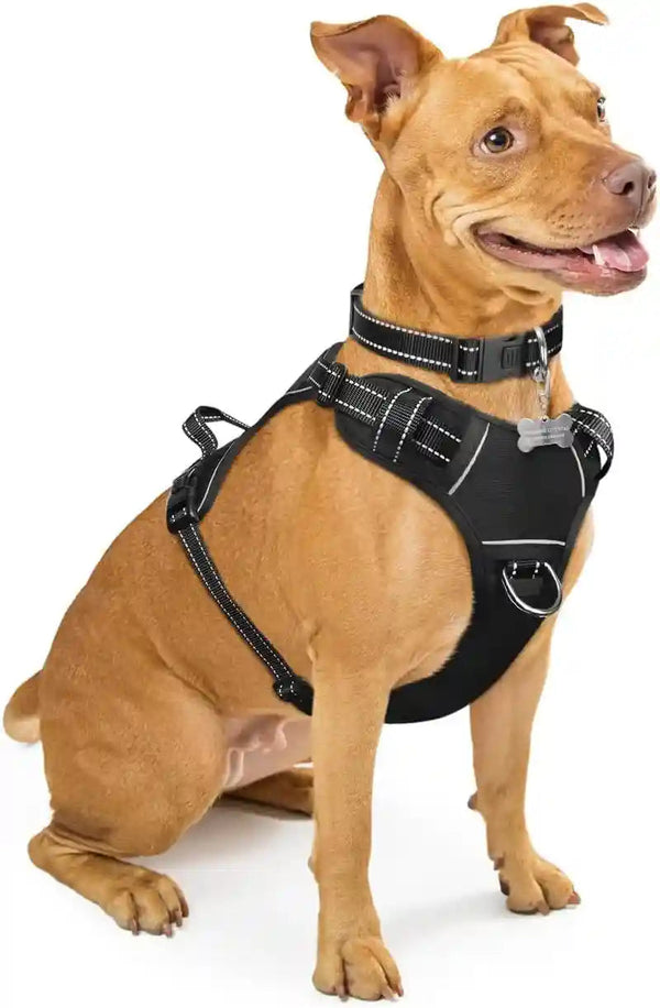 Dog Harness No Pull, Pet Harnesses with Dog Collar, Adjustable Reflective Oxford Outdoor Vest, Front/Back Leash Clips for Small, Medium, Large, Extra Large Dogs, Easy Control Handle for Walking24