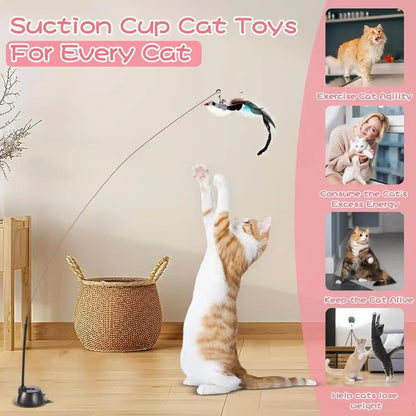 Interactive Bird Simulation Cat Toy Set | Cat Wand Toys,Includes 2 Self-Holding Suction Cup Bases and 6 Detachable Replacement Feather Toys2