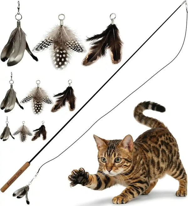Forever Stick 1-Pack - the Unbreakable Cat Wand Toy, Durable Cat Toy Wand, Extra Long Cat String Toy, Cat Fishing Pole Toy for Bored Indoor Adult Cats, Cat Stick Toy, Cat Feather Wand, Cat Teaser Wand13