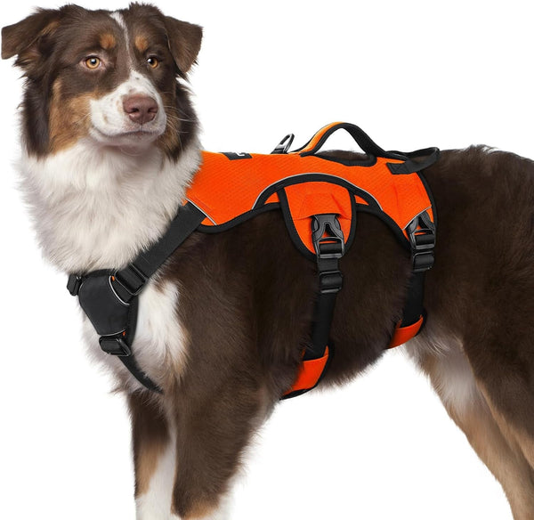 Rabbitgoo Escape Proof Dog Harness for Large, No Pull with Lift Handle | No Escape, Full Soft Padded, Reflective Adjustable Vest, Leash Clip for Walking Hiking Training, Black, Large30