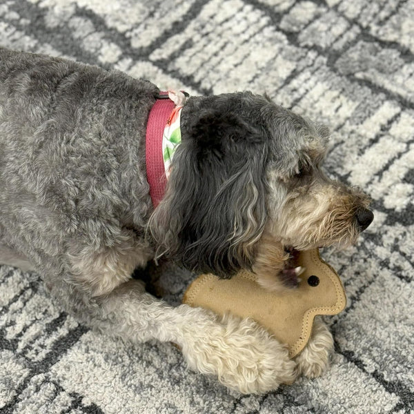 SPOT Dura-Fused Leather Rabbit Dog Toy – Durable Real Leather & Jute Chew Toy with Squeaker, Double-Stitched for Moderate Chewers, Small & Medium Dogs, 7.5In9