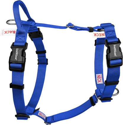 No Pull Dog Harness, Small, Purple/Black | Non Restrictive, Neck Buckle Design, Six Points Adjustment, Lightweight Easy Walk, Small Dogs Chest(17-23Inches)11