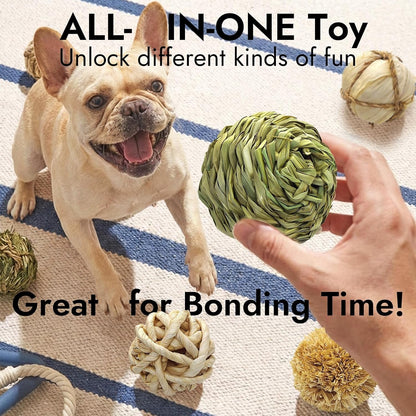 Dog Chew Toys, 3Pcs Woven Grass Chew Ball for Dogs, Dental Teething & Interactive Fetch Toys, Outdoor Digestible Chew Ball for Boredom Relief - Seaweed & Timothy Hay, Cornsilk, Cornleaf5