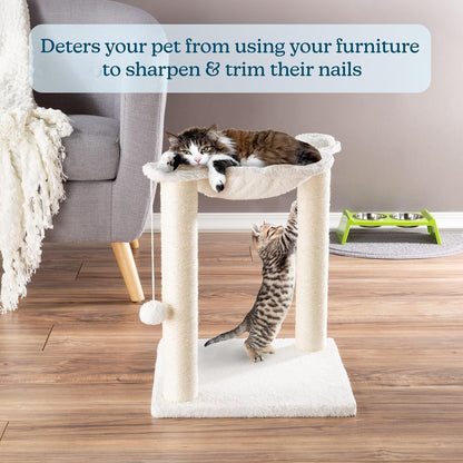 19-Inch Cat Scratching Post with Hammock ? Sisal Fabric and Carpet Small Cat Tree, Hanging Ball Toy for Adult Cats and Kittens by PETMAKER (White)4