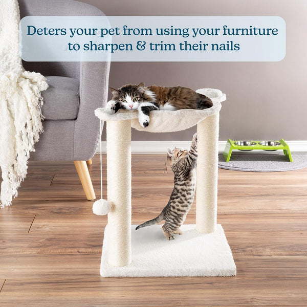 19-Inch Cat Scratching Post with Hammock ? Sisal Fabric and Carpet Small Cat Tree, Hanging Ball Toy for Adult Cats and Kittens by PETMAKER (White)4