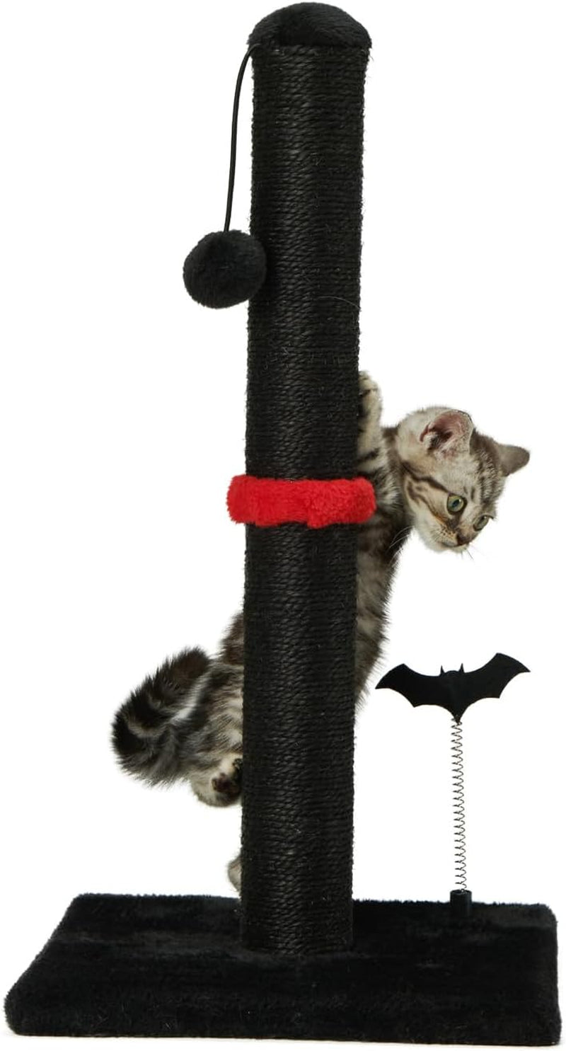 mecool-cat-scratching-post-premium-basics-kitten-scratcher-sisal-scratch-posts-with-hanging-ball-22in-for-kittens-or-smaller-cats-22-inches-for-kitten-beige