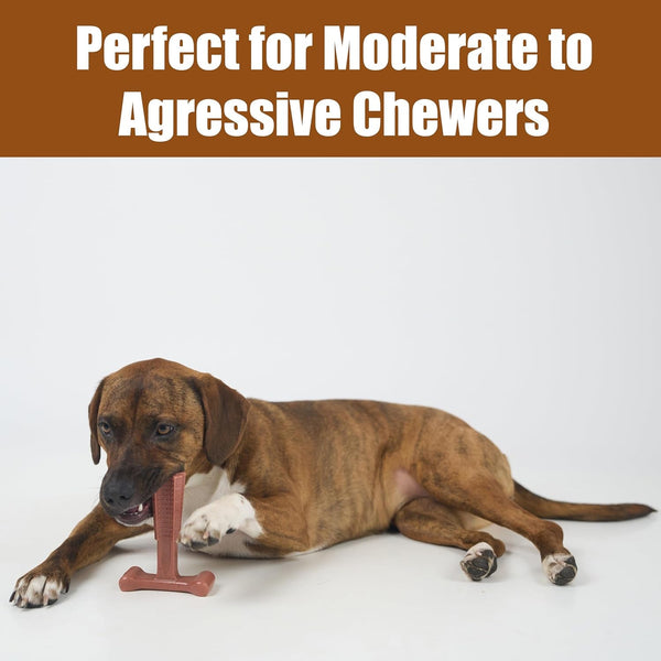 SPOT Bam-Bones plus T Bone – Bamboo Fiber & Nylon Dog Chew Toy for Moderate to Aggressive Chewers, Durable Long Lasting & Non-Splintering, Beef Flavor Toy for Adult Dogs & Puppies under 60 Lbs, 6 In6