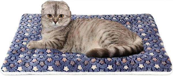 Mora Pets Dog Crate Pad - Ultra Soft Pet Bed with Cute Star Print, Washable Mat for Large Medium Small Dogs, Reversible Fleece Kennel Liner, Cat Bed 23 X 18 Inch Brown34