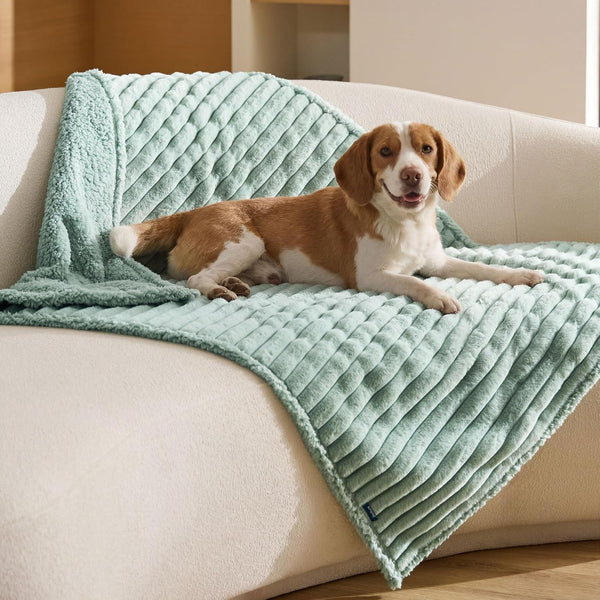 Bedsure Comfyfleece™ Waterproof Dog Blankets for Large Dogs,50X60 Cream | Soft Plush Couch Cover,Washable Corduroy Fleece for Furniture Protector,Cozy Calming Reversible Pet Blanket for Senior Dogs14