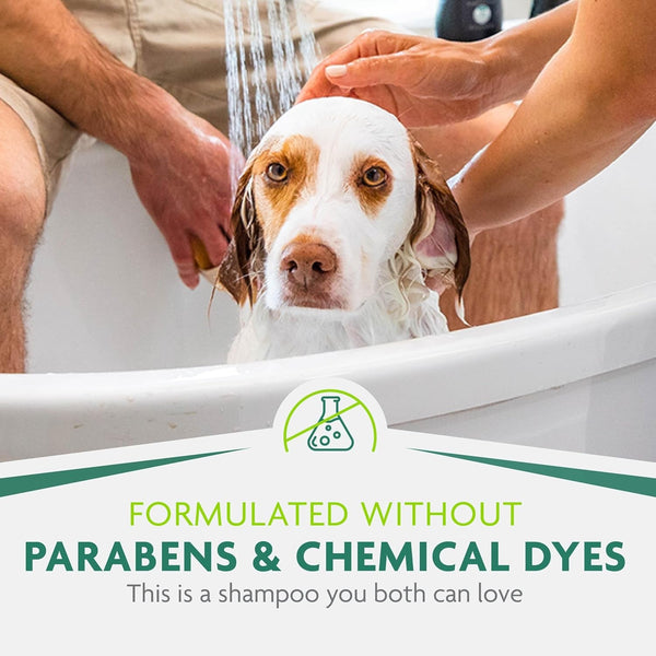 Furminator Ultra Premium Deshedding Shampoo for Dogs Helps Reduce Excess Shedding, 16 Oz6