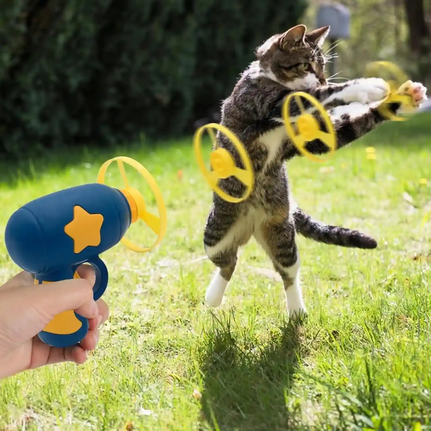 andiker-cat-fetch-toy-interactive-kitten-flying-disc-launcher-toy-with-5-colorful-flying-propellers-for-cat-enrichment-flying-saucer-toy-for-cats-for-training-and-chasing-blue