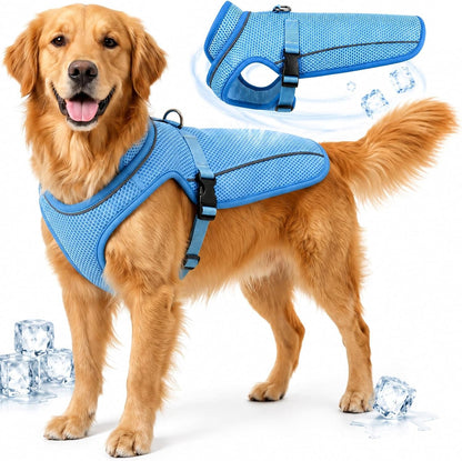 Dog Cooling Vest, Evaporative Cooling Dog Jacket with UV Protection, Lightweight Breathable Mesh Dog Cooling Shirt, Summer Heat Relief Gear with Adjustable Buckles for Hot Weather Walking & Hiking1