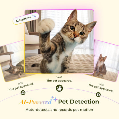 ARENTI Automatic Cat Feeder and Water Dispenser with Camera, 2K Adjustable View & Invisible Privacy Mode, 4.5L Cat Food Dispenser Fountain Combo, 5G/2.4G Wifi, 2-Way Audio, AI Alerts, Battery Backup7