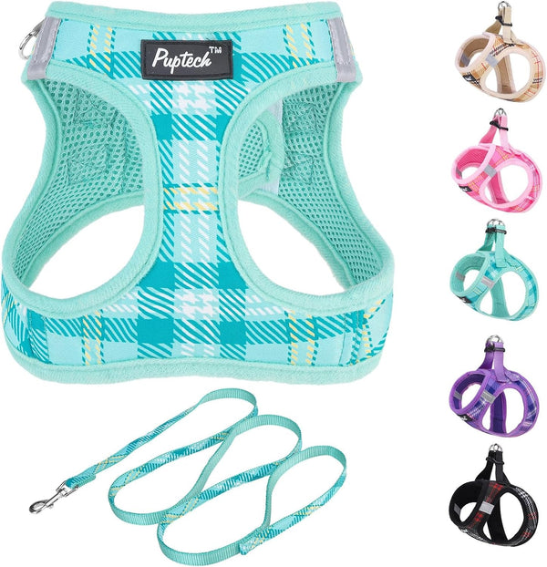 PUPTECK Dog Harness and Leash Set for Small Medium Dogs No Pull Step-In Soft Mesh Puppy Cat Vest Harnesses Reflective at Night, Green S40