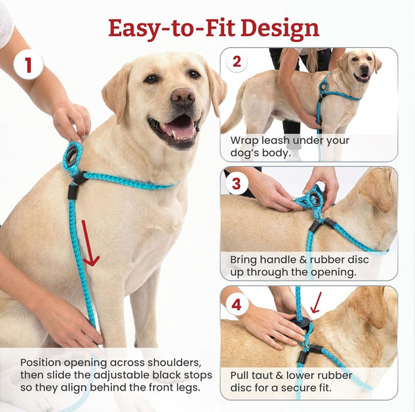 Harness Lead Escape Resistant, Reduces Pull Dog Harness, Medium/Large, Black3