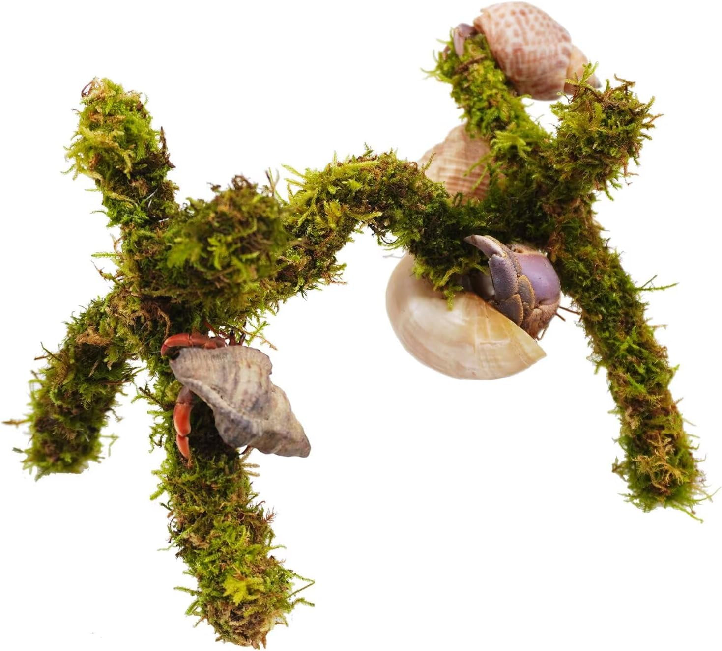 hermit-crab-accessories-adjustable-hermit-crab-climbing-toys-6-inch