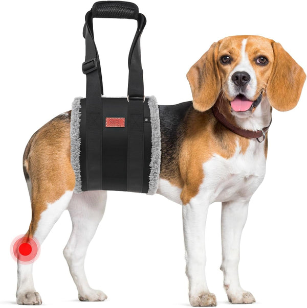 Adjustable Dog Lift Harness Dog Sling for Large Dogs Hind Leg Support Soft Lift Support and Rehab Harness for Weak Rear Legs, Helps Senior, Injured, Disabled and after ACL Surgery Dogs Large12
