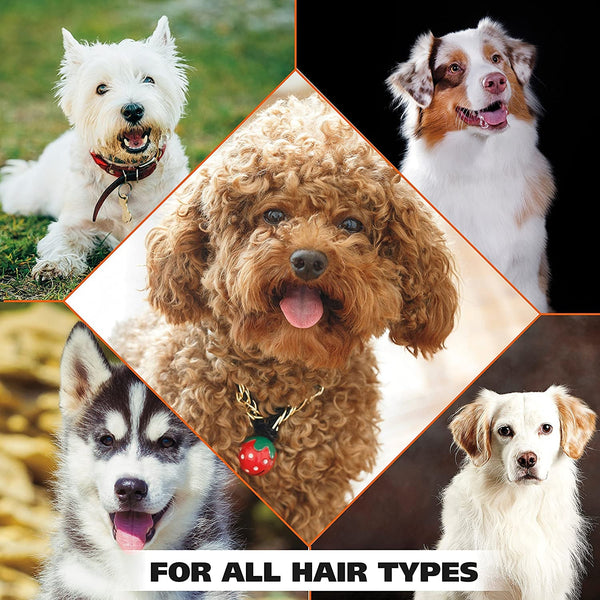 Wahl USA Dry Skin & Itch Relief Pet Shampoo for Dogs – Oatmeal Formula with Coconut Lime Verbena Scent & Pet Friendly Formula, 24 Oz - Model 820004A | Oatmeal Formula Moisturizes Skin & Provides Itch Relief for Sensitive Skin Dogs, Pet Friendly Formula - Model 820004A9