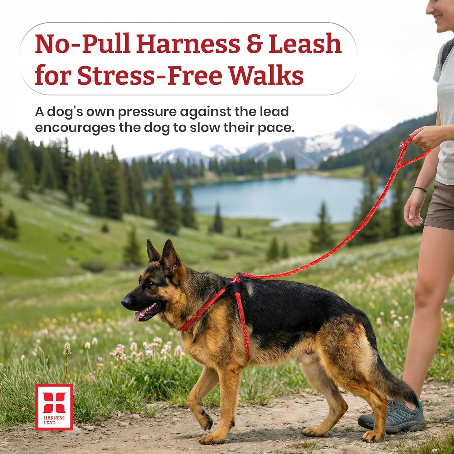 harness-lead-escape-resistant-reduces-pull-dog-harness-medium-large-black