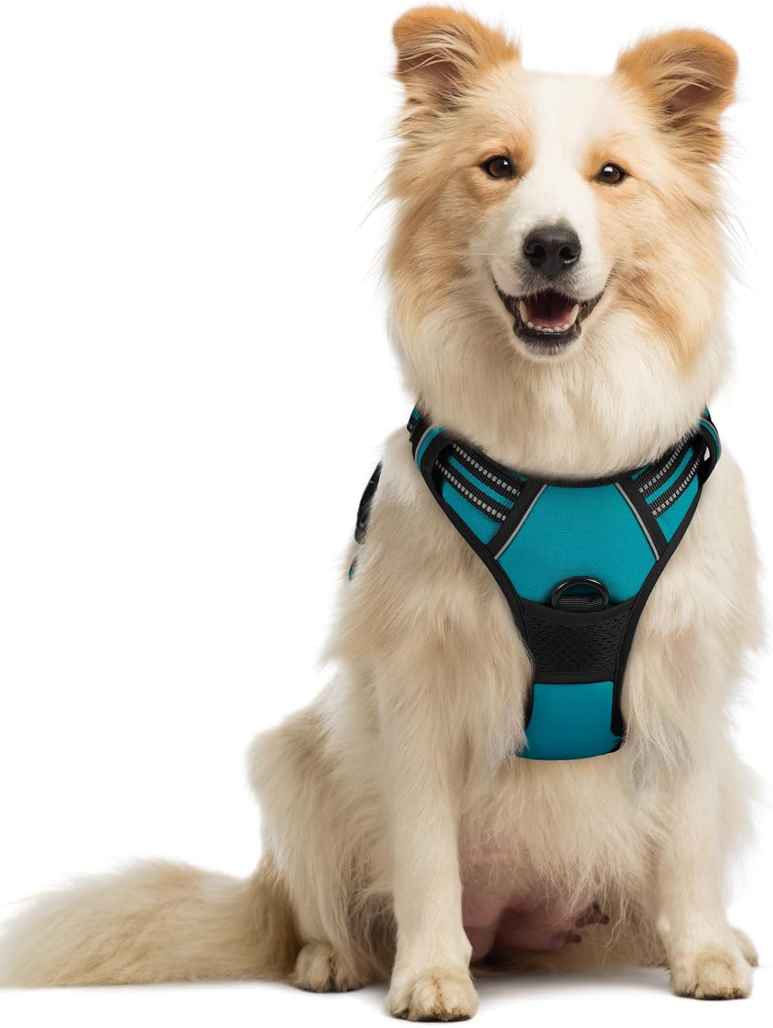 rabbitgoo-dog-harness-no-pull-for-large-dogs-with-2-leash-clips-pet-vest-no-choke-with-handle-adjustable-soft-padded-reflective-easy-control-for-walking-black-large